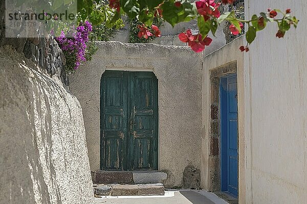 Two coloured doors in a narrow alleyway  surrounded by flowering plants and white walls  create a Mediterranean atmosphere  Megalochori village  Santorini  Cyclades  Greece  Europe