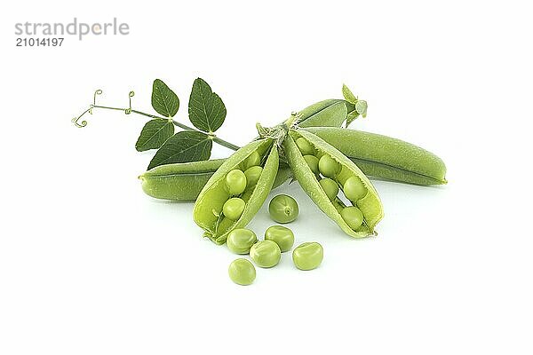 Open pea pod and round green peas inside in close up isolated on white background