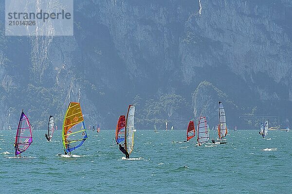 People windsurfing on a sunny day with clear blue skies and mountain backdrop  Lake garda  Torbole  Lake garda  Lago di Garda  Trentino  Italy  Europe