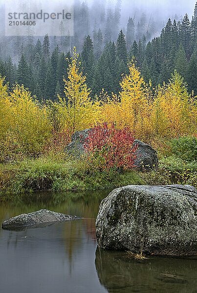 A calm section of the Wenatchee Rover in Autumn near Leavenworth  Washington