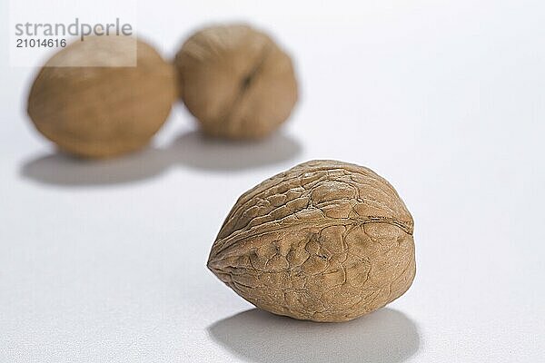 A walnut is displayed in the foreground and two are in the background on white