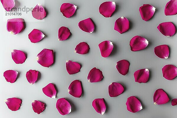 Group of red rose petals on gray background. Mockup for greeting card for valentine  wedding or engagement