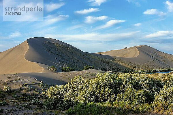 The tall dunes at the Bruneau Sand Dunes state park in southwest Idaho