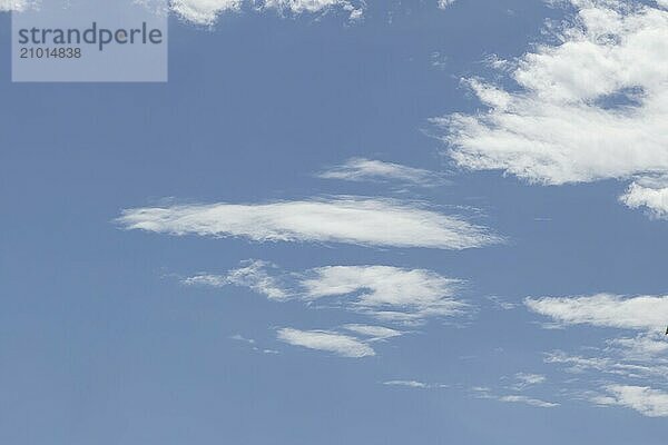 Stratocumulus white clouds in a blue sky  England  United Kingdom  Europe