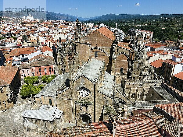 Gothic church with towers and surrounding buildings with red tiled roofs on a sunny day  aerial view  Romanesque and late Gothic cathedral  Plasencia  Cáceres  Caceres  Extremadura  Spain  Europe