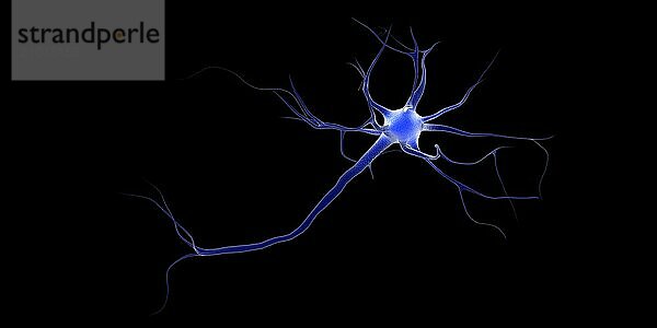 Conceptual image of a neuron