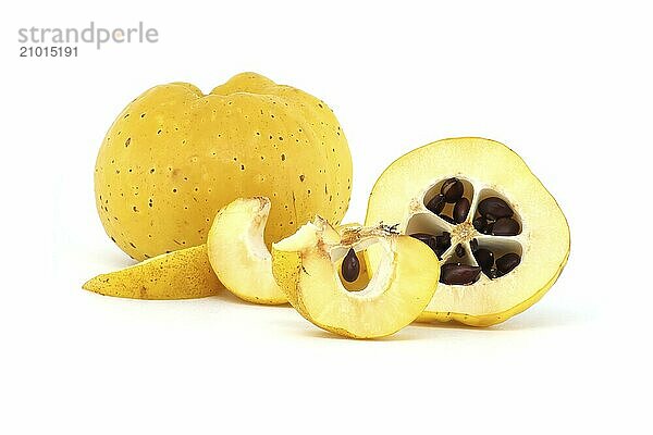 Vibrant quince fruits  both sliced and whole isolated on white background  full depth of field  Chaenomeles japonica or Japanese quince