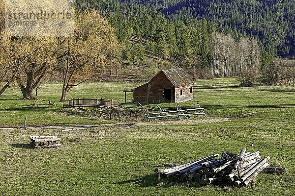 An old barn sits in a quaint little meadow next to some trees in north Idaho