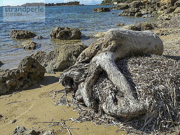 Large driftwood log lies on the sandy shore  surrounded by rocks and the clear blue sea  katakolon  mediterranean sea  greece