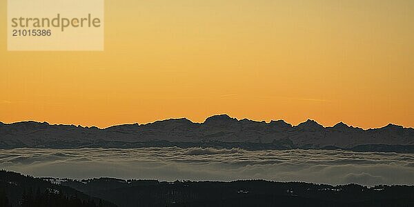 View of the Alps from Feldberg (southern Black Forest)