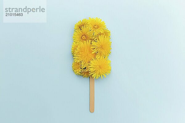 Greeting card concept flat lay on blue background with dandelion blossom ice cream lolly on a stick.