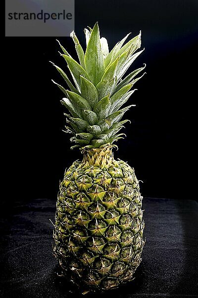 Studio photo of a whole pineapple standing up against a black background