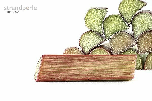 Rhubarb stalks of varying colors from pale green to deep red isolated on white background  illustrate a recipe for a rhubarb-based dish