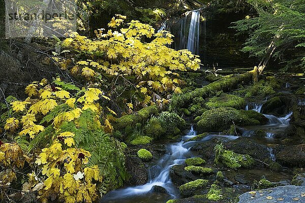 Water cascading down the rocks coming from Fern Falls in north Idaho in autumn