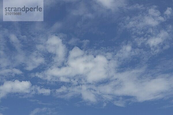 Cumulus white clouds in a blue sky  England  United Kingdom  Europe