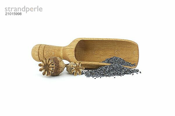 Poppy seed pods and seeds in wooden scoop on white isolated on white background  full depth of field