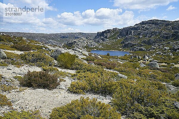 Landscape in lake Lagoa Redonda lagoon in Serra da Estrela  Portugal  Europe