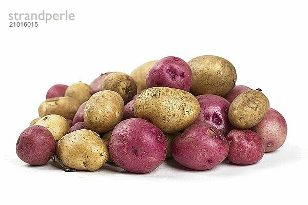 A close up photo of freshly harvested red and yellow baby potatoes set against a white background