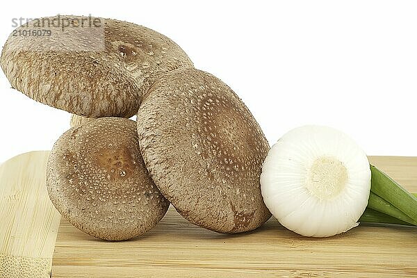 Shiitake mushrooms and various kinds of onions on a wooden cutting board over on white background. Recipes and medicinal herbs