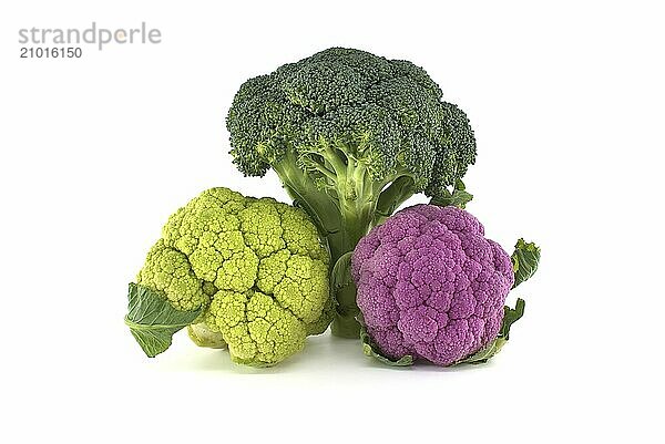 Fresh broccoli and colorful cauliflowers isolated on a white background. Healthy food concept