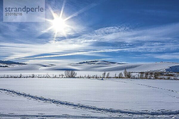 The sun shines in the blue sky over a snow covered farm field in Moscow  Idaho