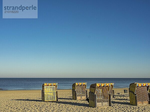 Beach with several beach chairs facing the sand  overlooking the calm sea under a clear blue sky  egmond aan zee  the netherlands