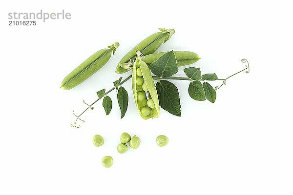 Open pea pod and round green peas inside in close up isolated on white background