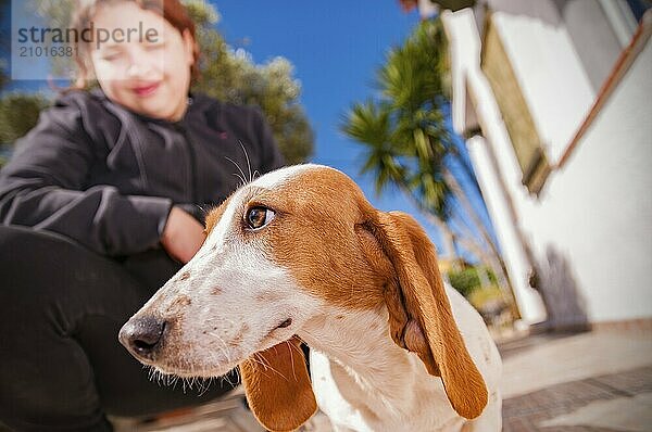 Girl playing with her dog in white and brown with selective blur