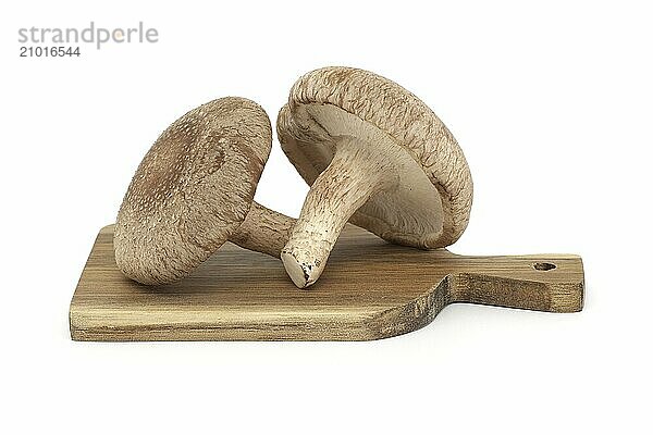 Shiitake mushrooms on a wooden cutting board in close-up  isolated on white background. Medicinal herbs and fungi