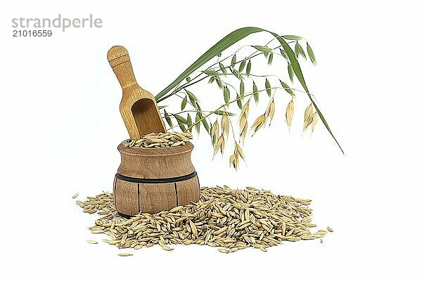 Heap of organic oat grains with hulls or husks isolated on a white background. Whole oats grains with husk. Agriculture  diet and nutrition