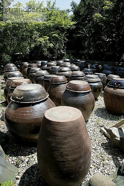 Rows of Kimchi pots in the sun