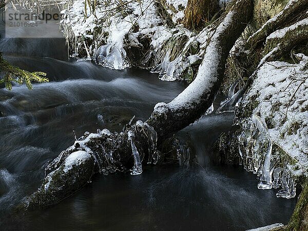 Icy Tannbach in March between Bavaria and Thuringia