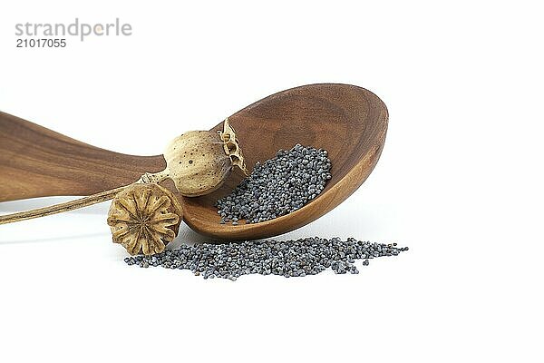 Poppy seeds in wooden spoon and dried poppy seed pods isolated on white background  full depth of field