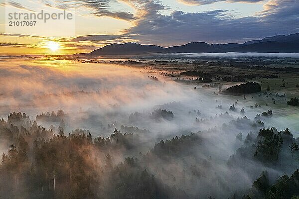 Aerial view of trees and moorland in front of mountains in morning light  fog  summer  view of Zwiesel  Loisach-Lake Kochel moors  Alpine foothills  Upper Bavaria  Bavaria  Germany  Europe