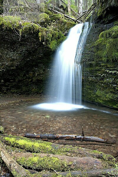 The lush green foliage around Shadow Falls  in north Idaho