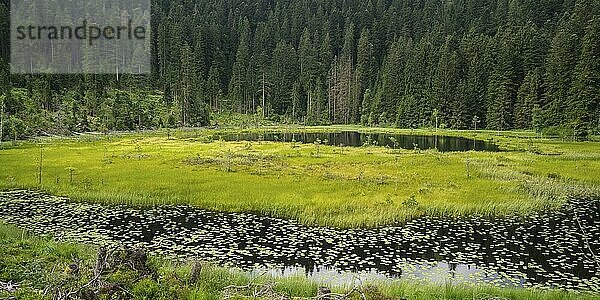 Lake Huzenbach in the northern Black Forest