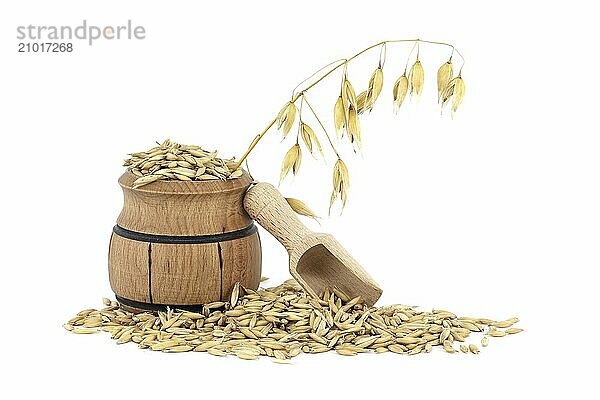 Oat grains with hulls or husks in small wooden barrel isolated on a white background. Agriculture  diet and nutrition. Common oat or Avena sativa