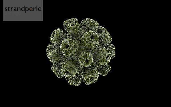 Conceptual image of polyomavirus