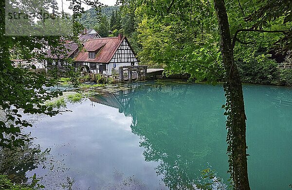 The Blautopf in Blaubeuren  Baden-Württemberg  Germany  with tree in the foreground  Europe