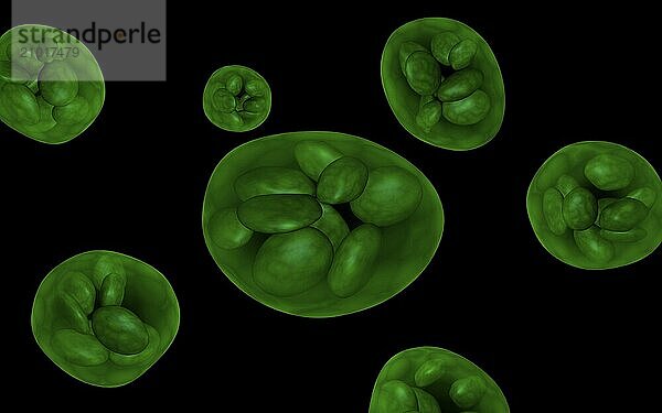 Conceptual image of chloroplast