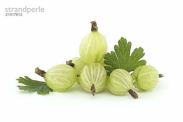 Heap of green ripe gooseberry with leaf isolated over white background