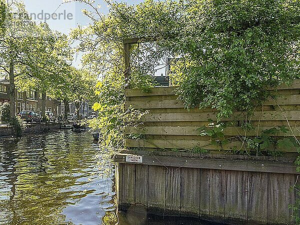 Wooden structure and plants at the edge of a canal  surrounded by trees  alkmaar  the netherlands