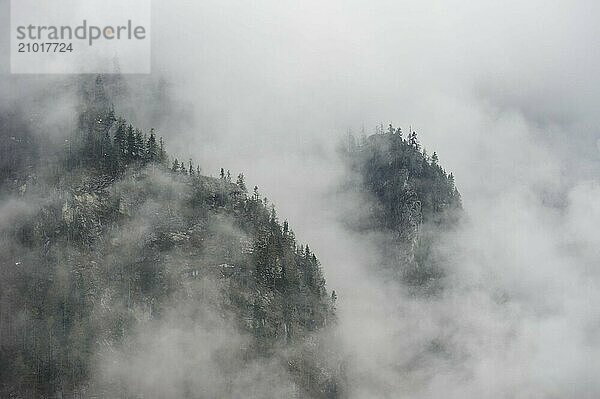 Misty mountain slopes in the Martello Valley in South Tyrol  Italy  Europe