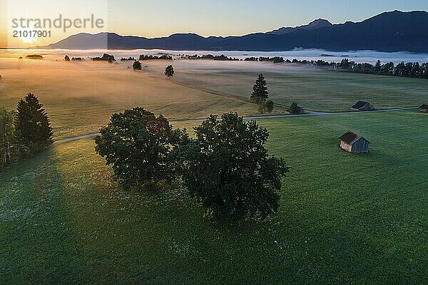 Aerial view of meadows and trees in front of mountains against the light  sunrise  fog  autumn  Loisach-Lake Kochel moors  Alpine foothills  Upper Bavaria  Bavaria  Germany  Europe