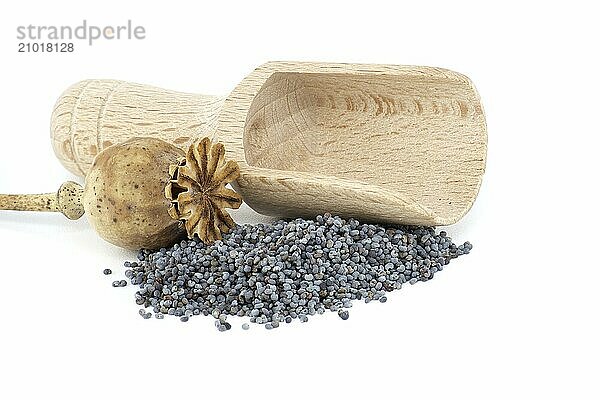 Poppy seed pods and seeds in wooden scoop on white isolated on white background  full depth of field