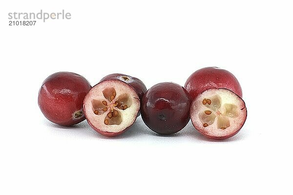 Assortment of red cranberries  each one appearing ripe  fresh and ready to eat against a white background