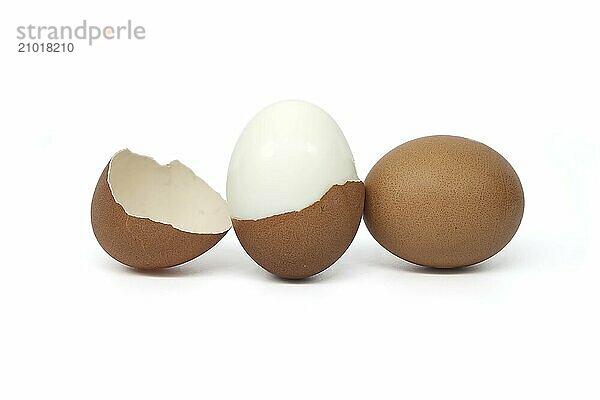 Eggs with varying colors and detail of the egg shell isolated on white background