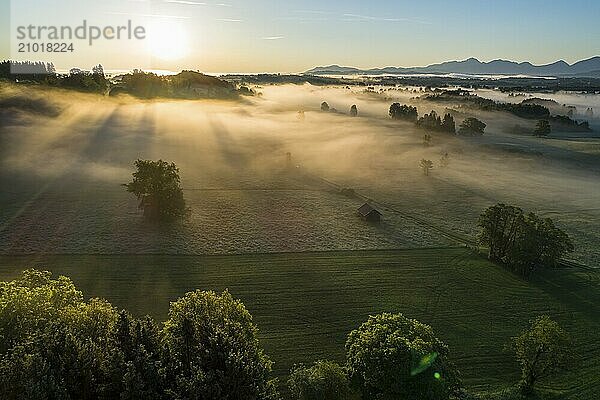 Aerial view of meadows and trees in front of mountains in backlight  sunrise  fog  autumn  Murnau  Alpine foothills  Upper Bavaria  Bavaria  Germany  Europe