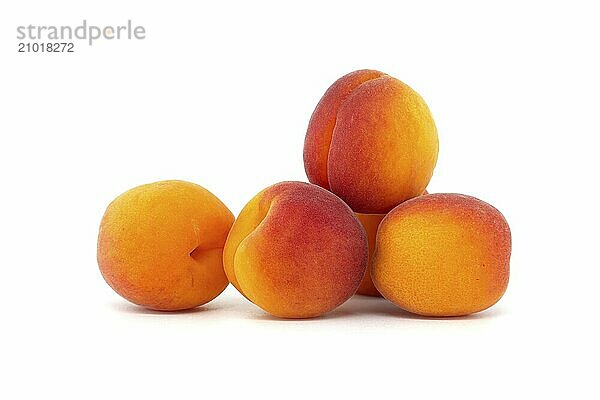 Collection of fresh ripe whole bright yellowish orange apricots isolated on a white background