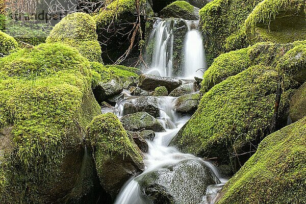 Moss covered rocks and a cascading stream along the Sol Duc Falls trail in Washington